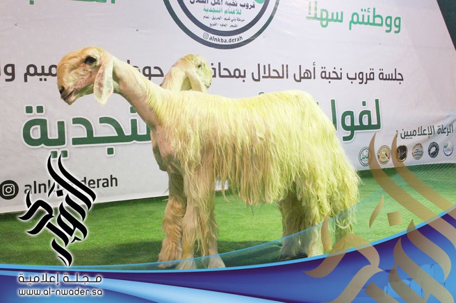 فعاليات جلسة قروب نخبة أهل الحلال بمحافظتي حوطة بني تميم والحريق